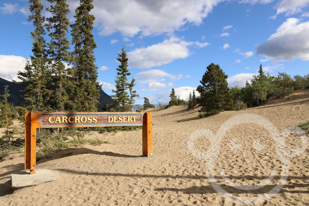Carcross Desert