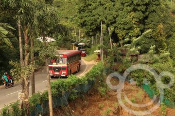 Sri Lanka Rundreise