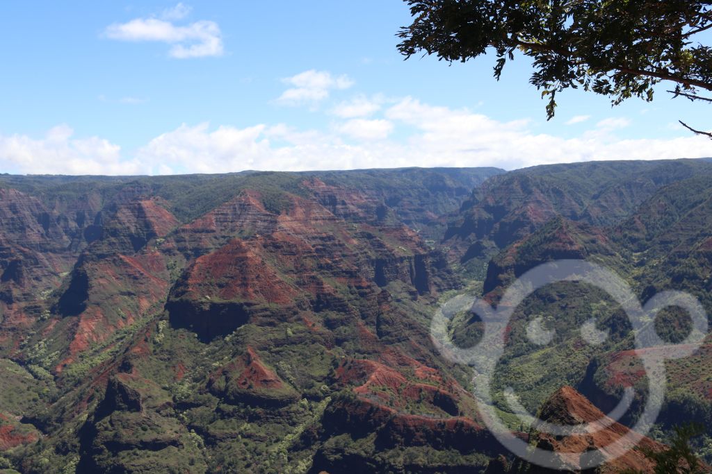Waima Canyon
