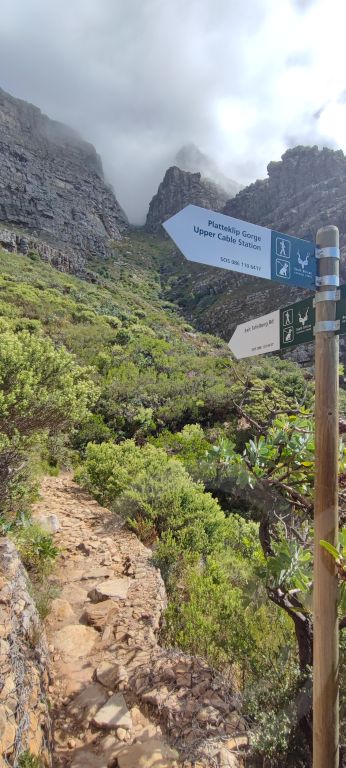 Wanderungen zum Tafelberg in Kapstadt